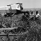 ЯМБОЛСКИ ОКРЪГ