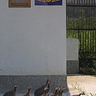 Рупите-гробът на Ванга