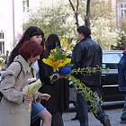 в София 2004.4